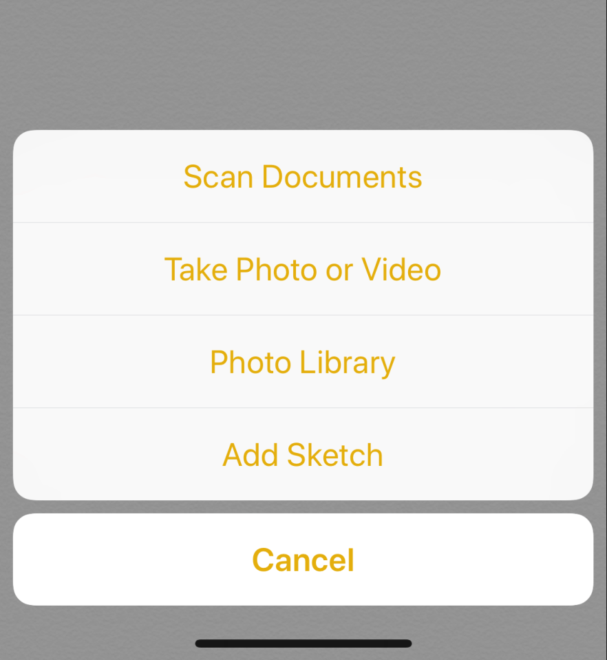 Scan Documents comes up as an option when you click the plus symbol on the bottom of a new note