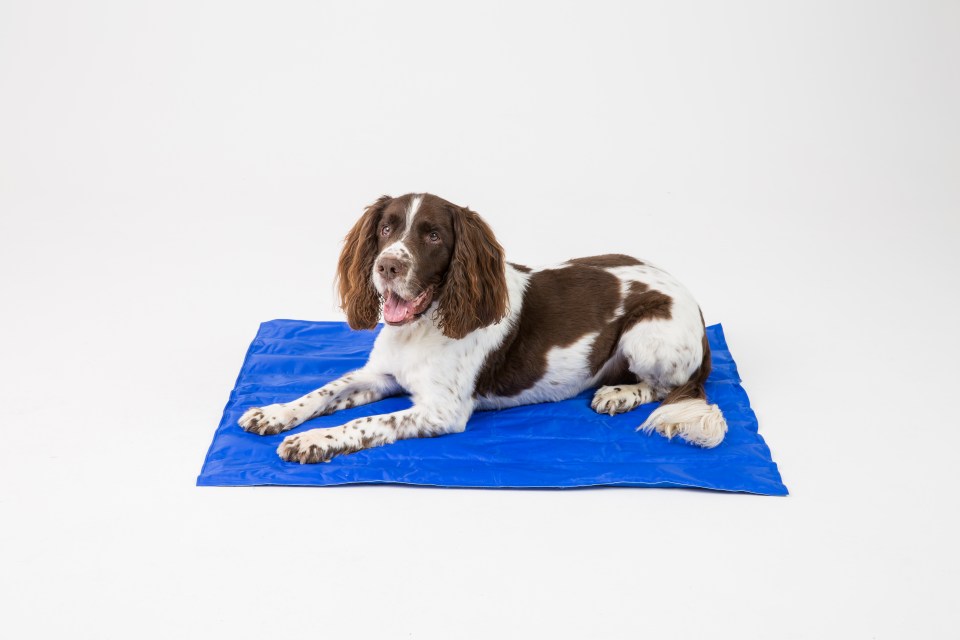  These mats will help make sure your pet has somewhere cool to lie down