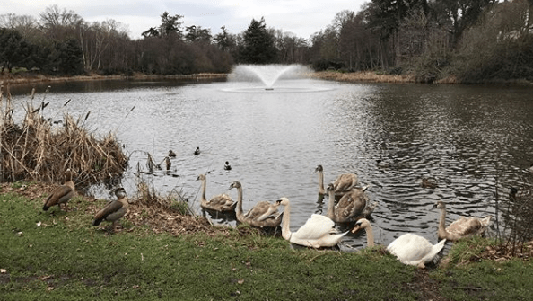  Wentworth Estates boasts wildlife within its grounds and a stunning lake