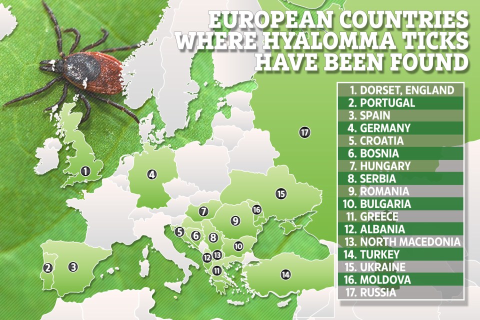  This map shows the known European countries where cases of Hyalomma ticks have been present