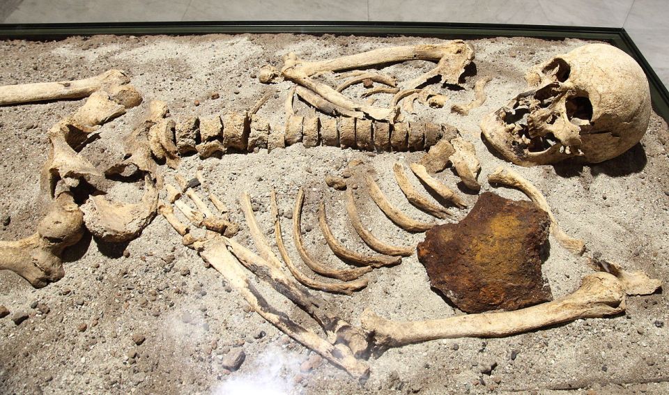  This 800 year old skeleton was found in Bulgaria with iron stabbed through its chest