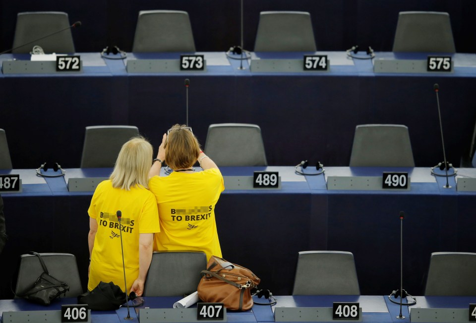  The Lib Dems wore t-shirts saying 'b****cks to Brexit' on them