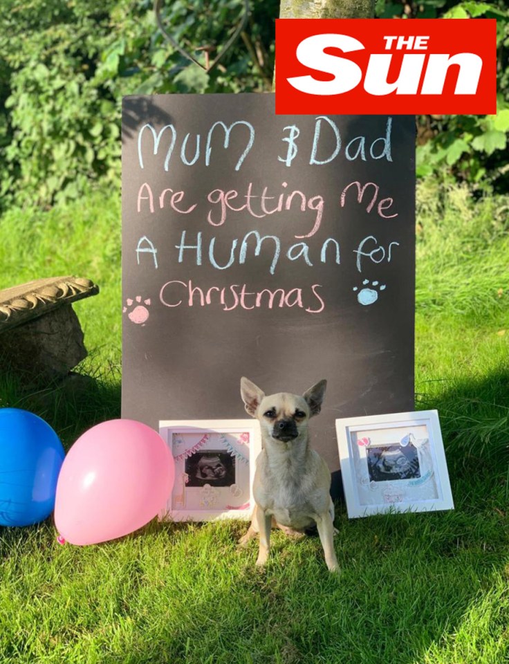  Patsy posed next to a board with a funny caption, while the scans can also be seen in the shot