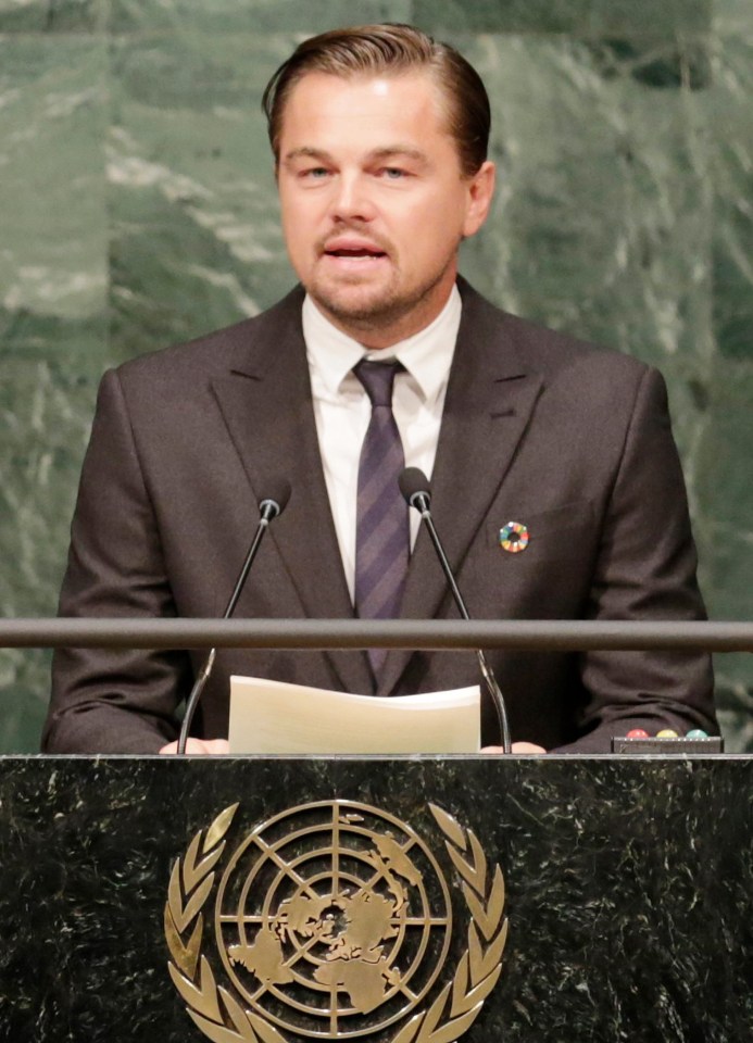 Among July’s batch is the Leonardo DiCaprio Foundation