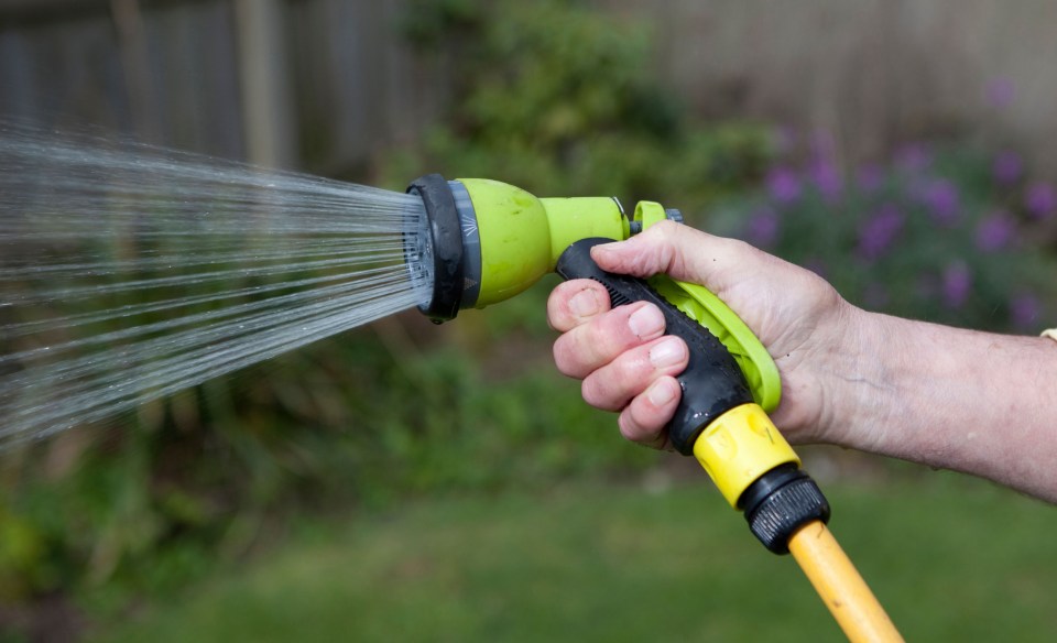 The bacteria can also be found in garden hose pipes and water sprinklers