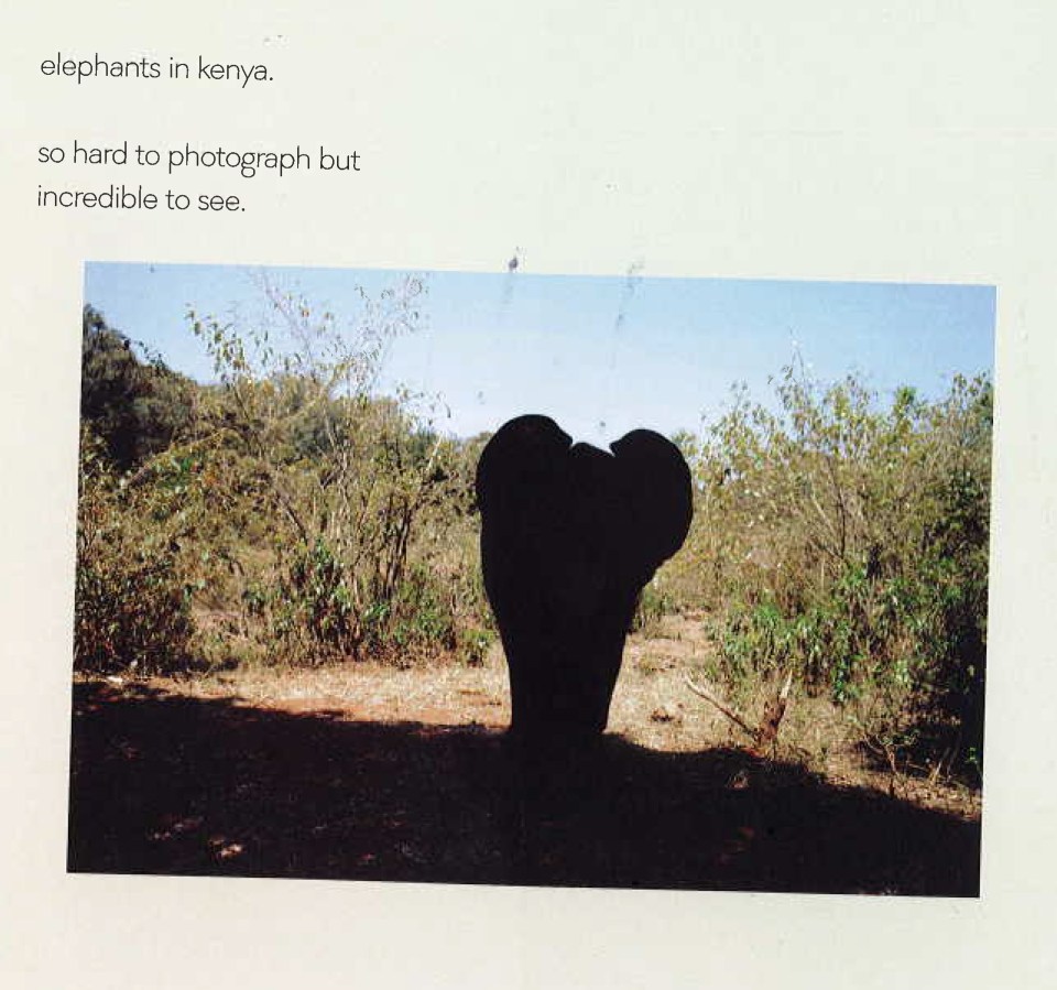  Brooklyn's much-panned image of an elephant from his photography book