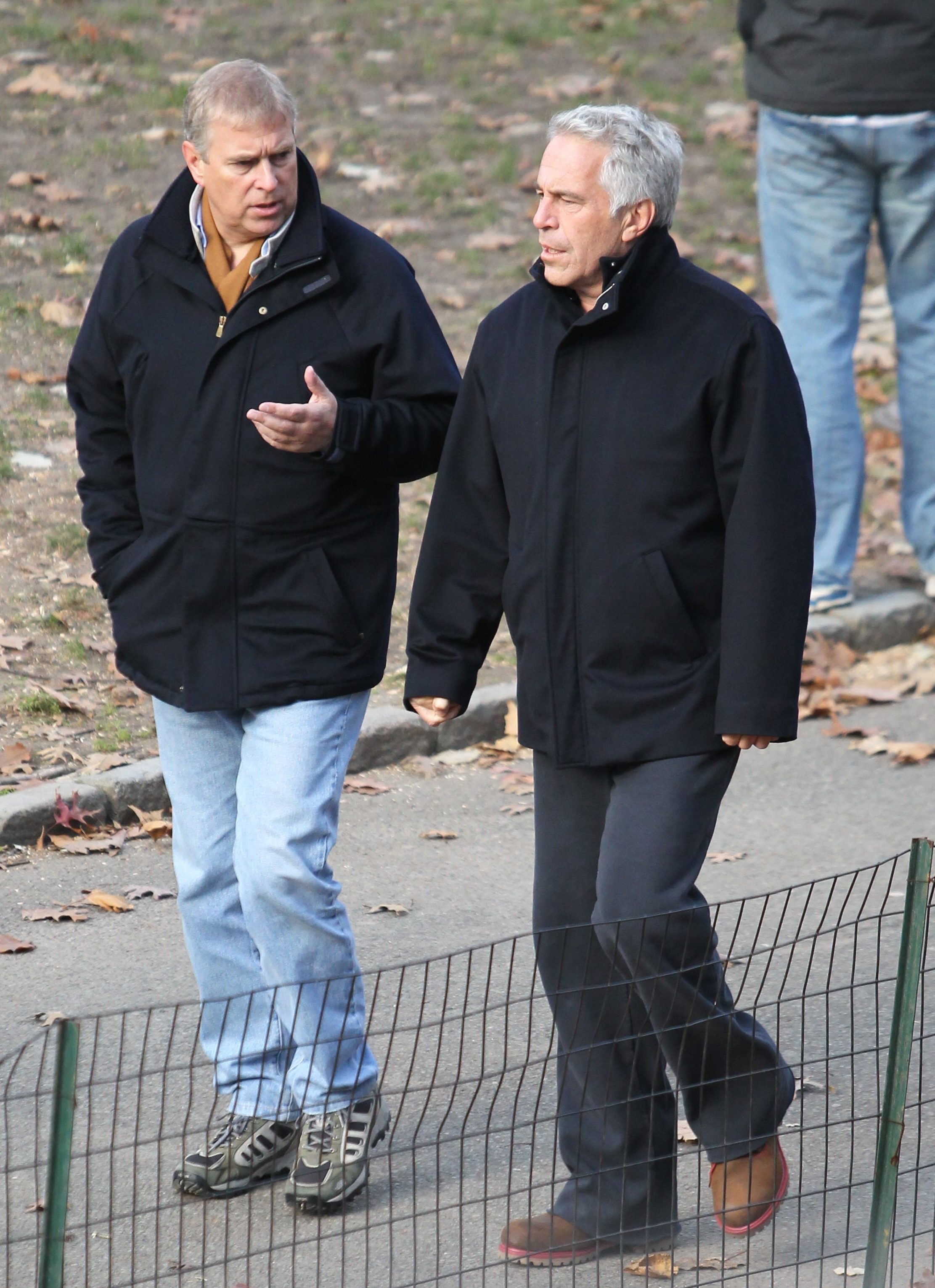 Prince Andrew (pictured with Epstein) flew on the plane