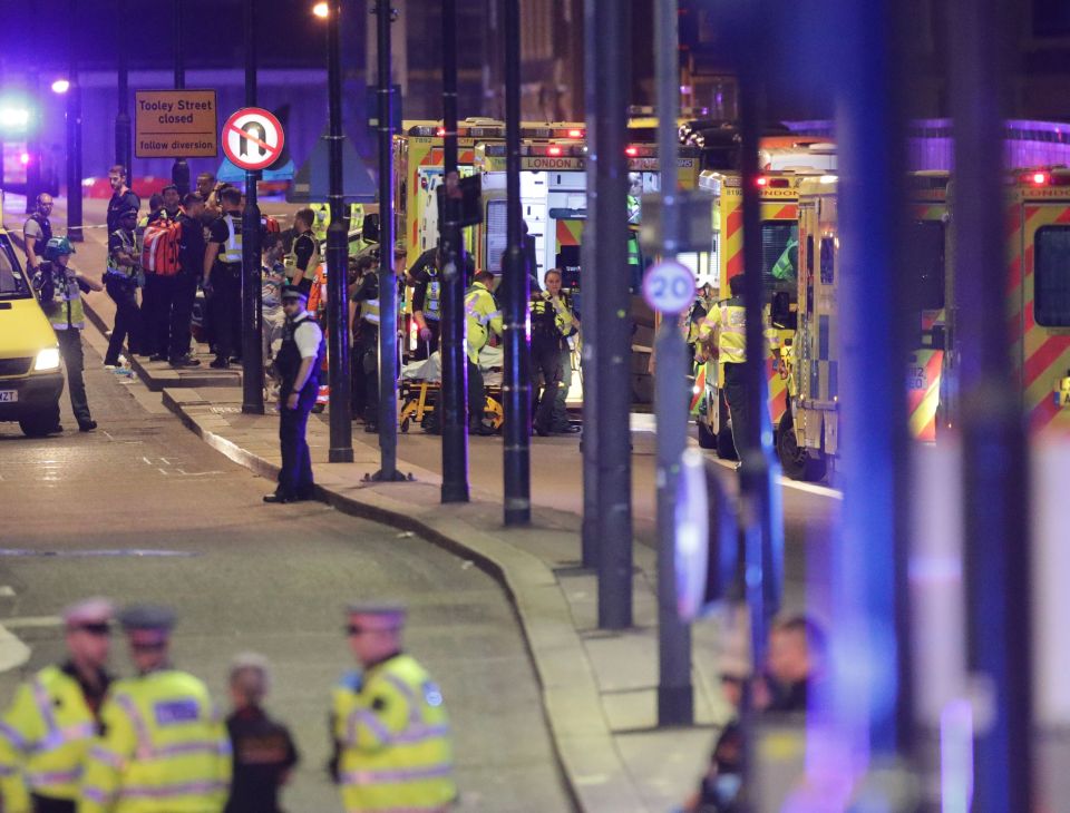  London Bridge terror attack cops have accepted Roy's brave actions prevented further injury