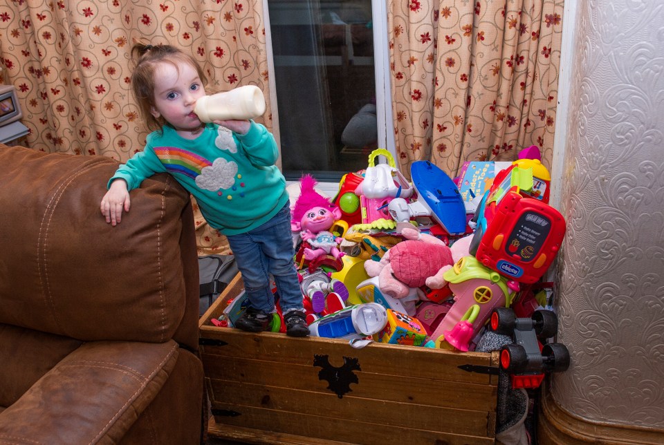  The Radfords have a huge, overflowing toy box