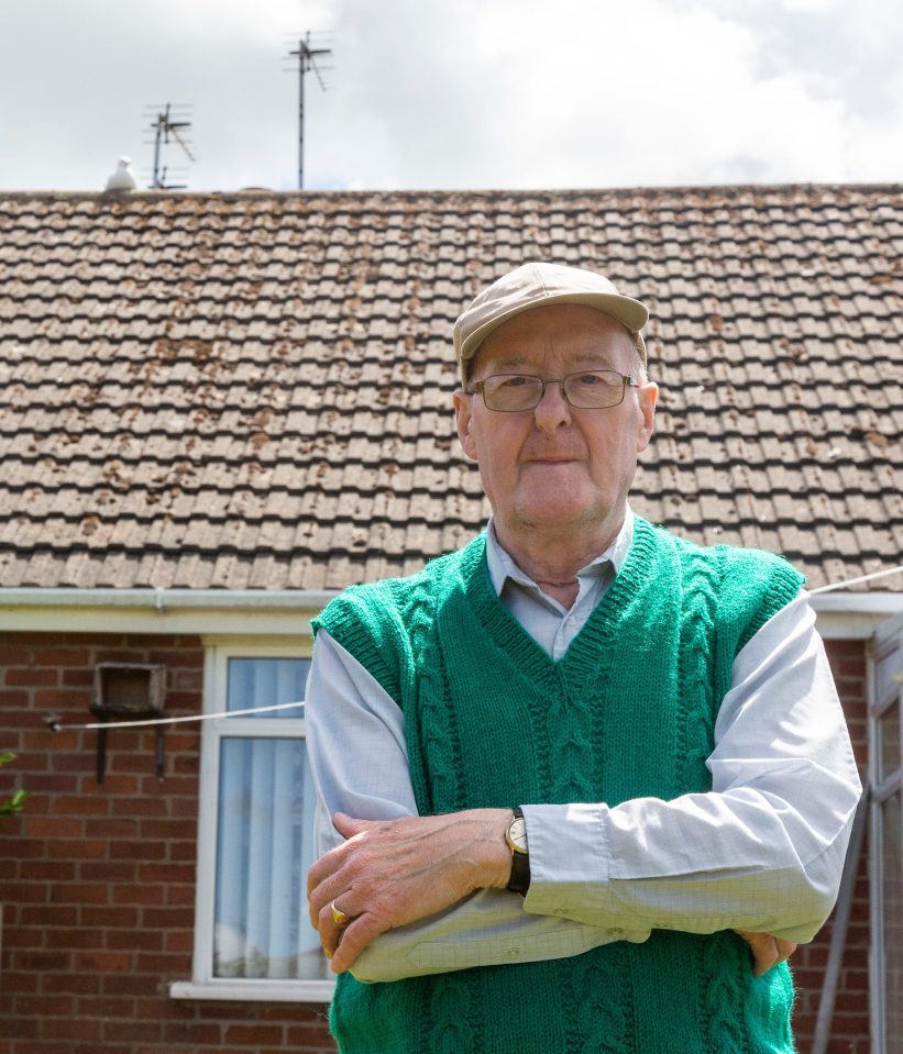  Roy Pickard, pictured, and his wife were held hostage in their own home by gulls, like the one top left, for six days