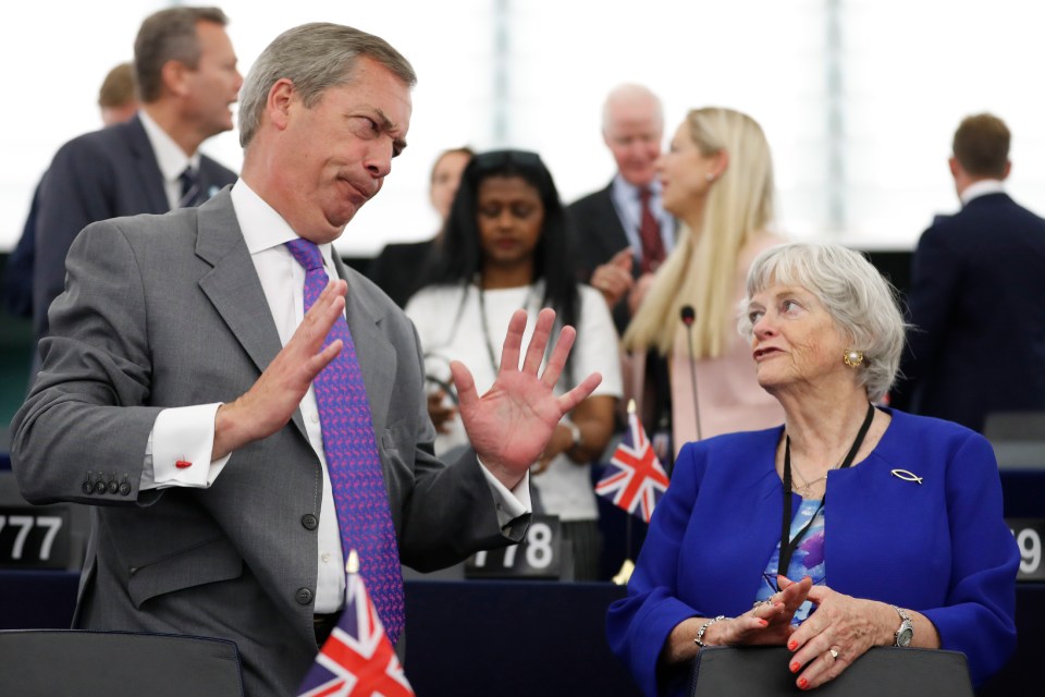 Nigel shows new MEP Ann Widdecombe around the European Parliament