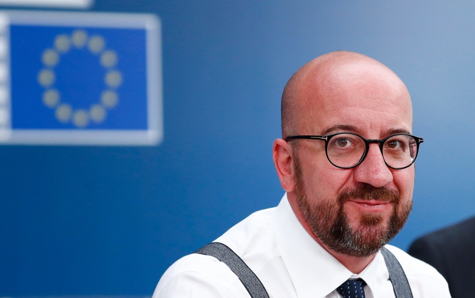  Charles Michel will run the European Council