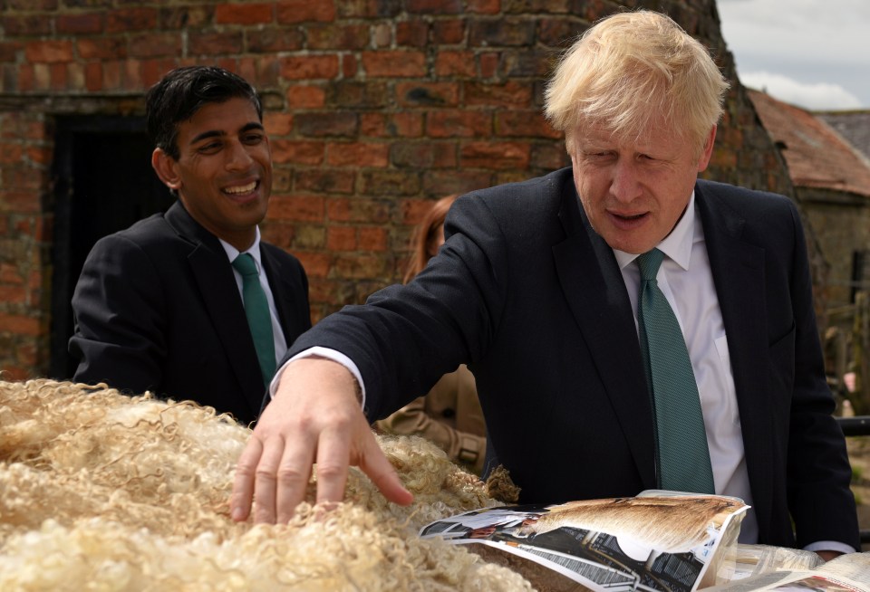  Mr Johnson on the campaign trail with Rishi Sunak