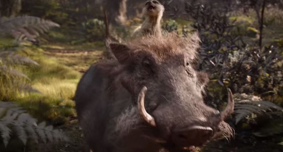  Timon and Pumbaa in the movie