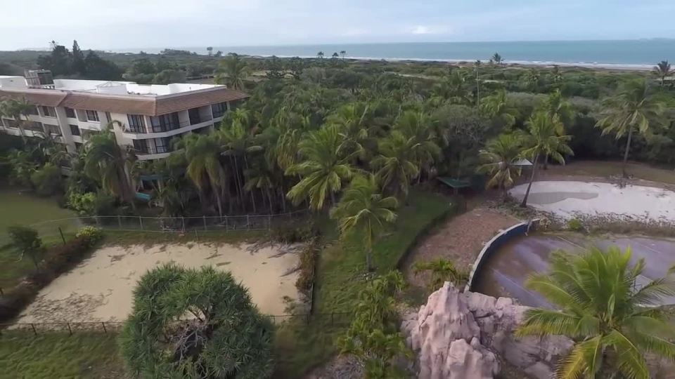  The once beautiful grounds of the resort are now either dead or overgrown