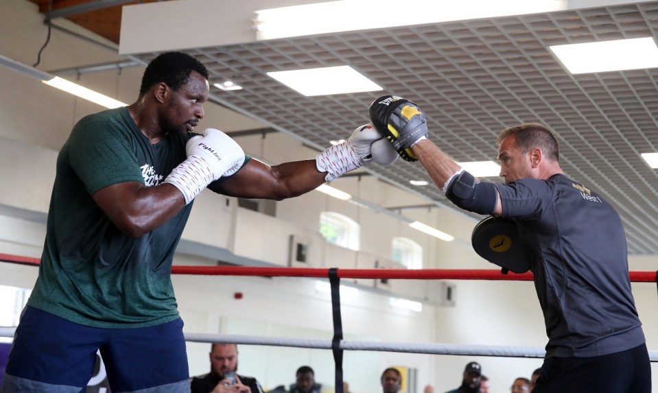 Former British champion Whyte is unbeaten since losing against Anthony Joshua in 2015