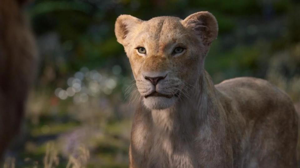  Beyonce voices Nala in the film