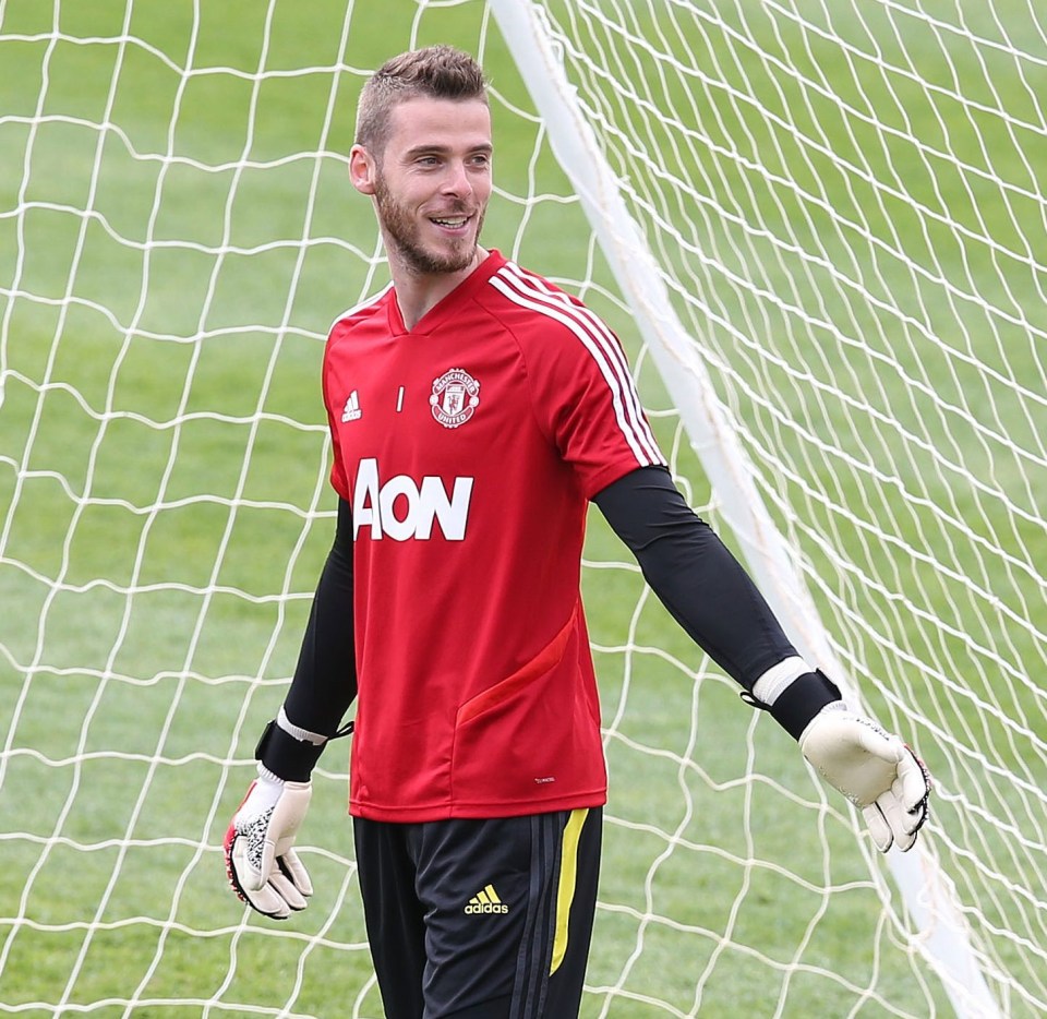 David De Gea joined Manchester United from Atletico Madrid in 2011