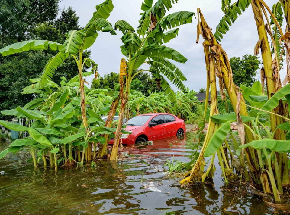 Flooding comes up the wheels of a parked car on Belfast Street near Eagle Street in New Orleans