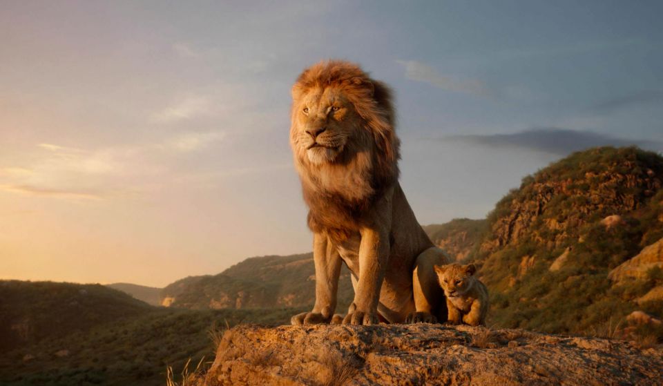  The release of the new Lion King marks 25 years since the original film in 1994