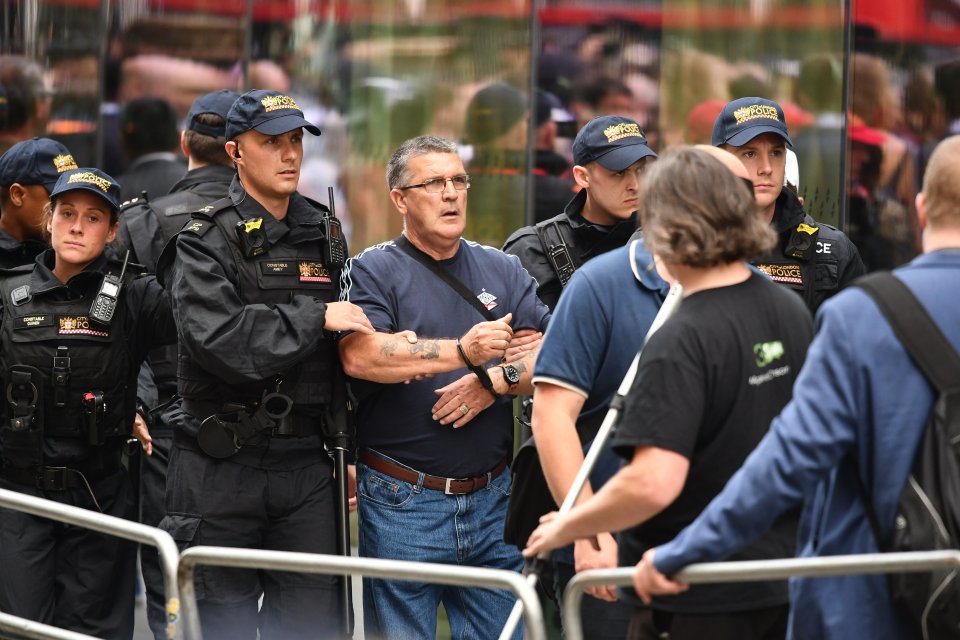  A man appears to be arrested during the Robinson protests