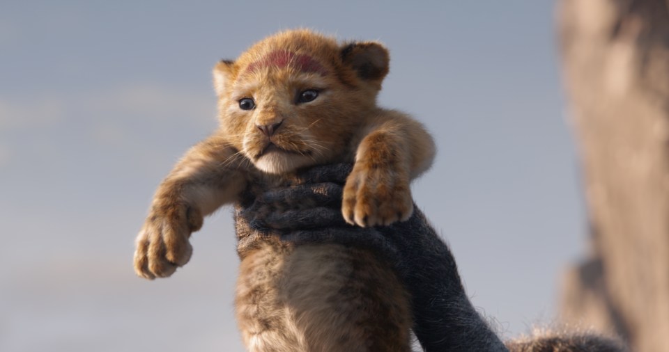  The Lion King remake is out in cinemas on July 19