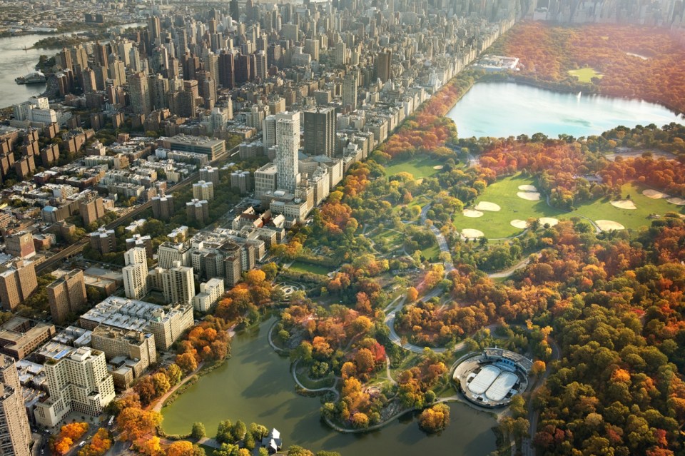  Skyscrapers and foliage in Central Park, New York City