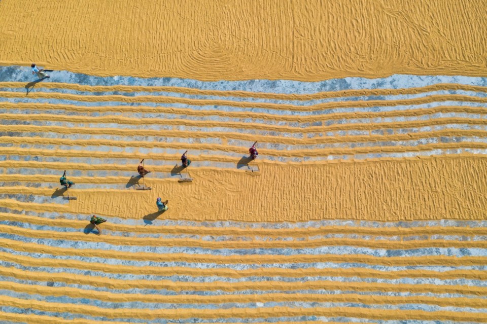  Rice processing in Dhamrai, Bangladesh