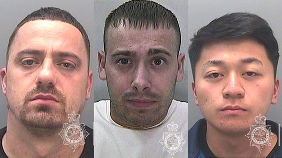 Qatip Puci, Jonathan Parsons and Danny Yau, all part of Germaine’s drug gang