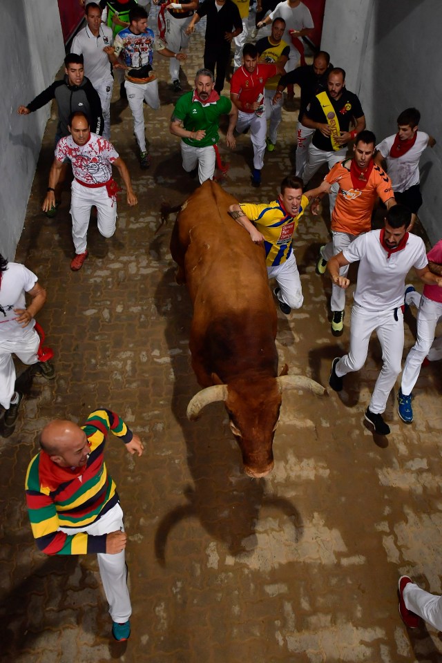  More daring runners speed alongside the bull through San Fermin's cobbled streets