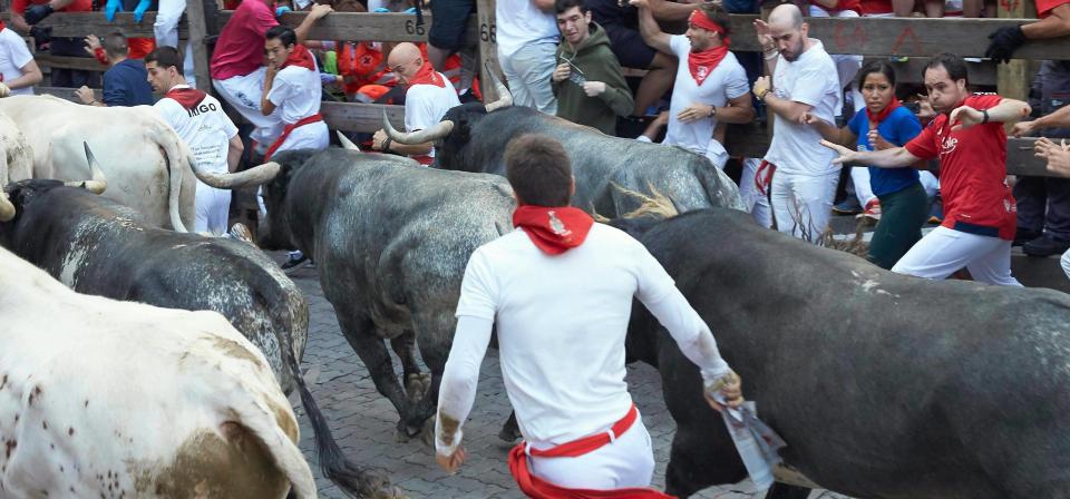  Thrill-seekers are chased through Pamplona's streets by a pack of angry bulls