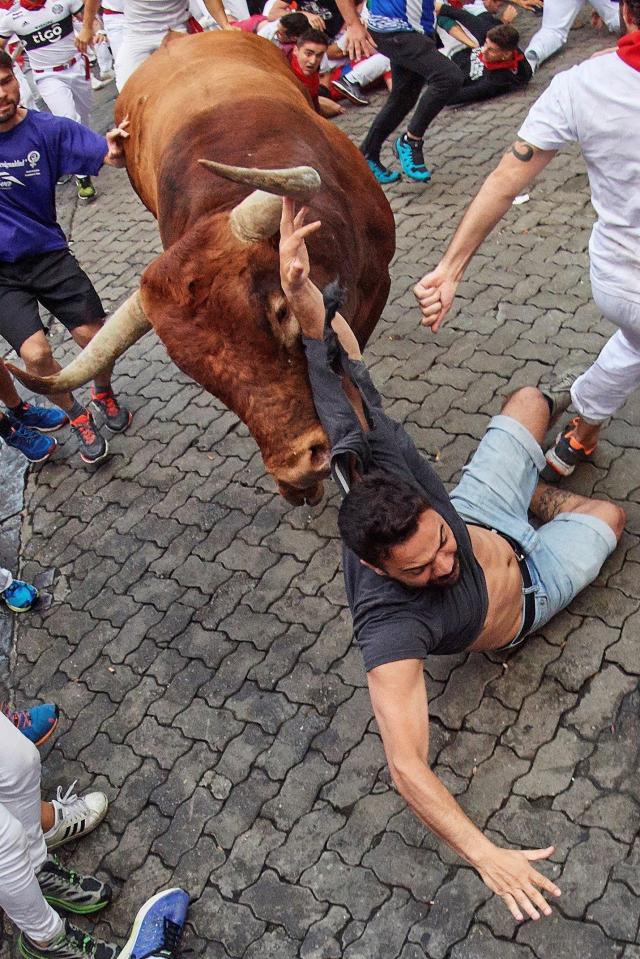  A man is thrown to the ground by a bull