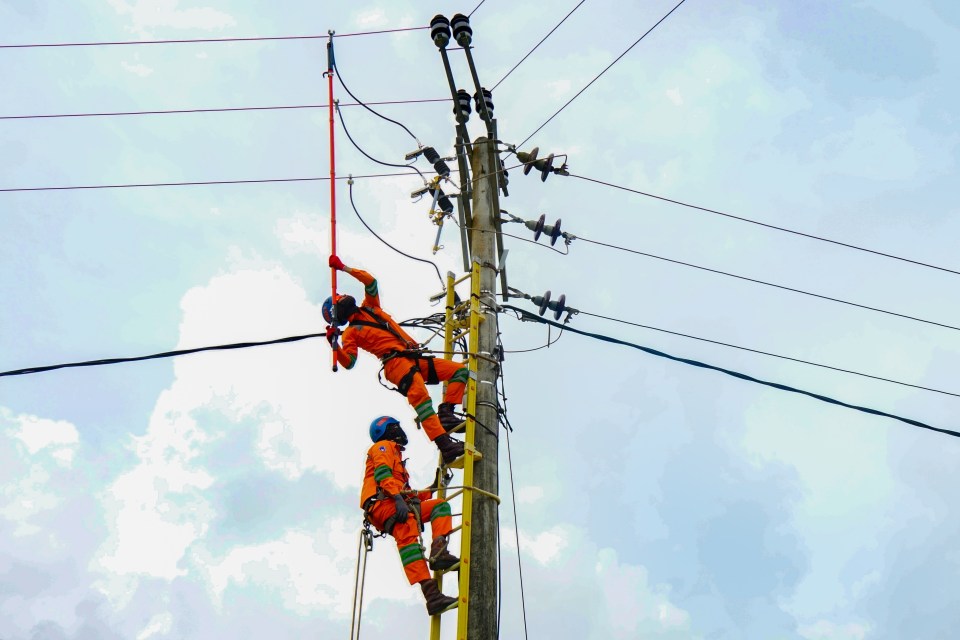  Maintenance work on a pylon in Indonesia