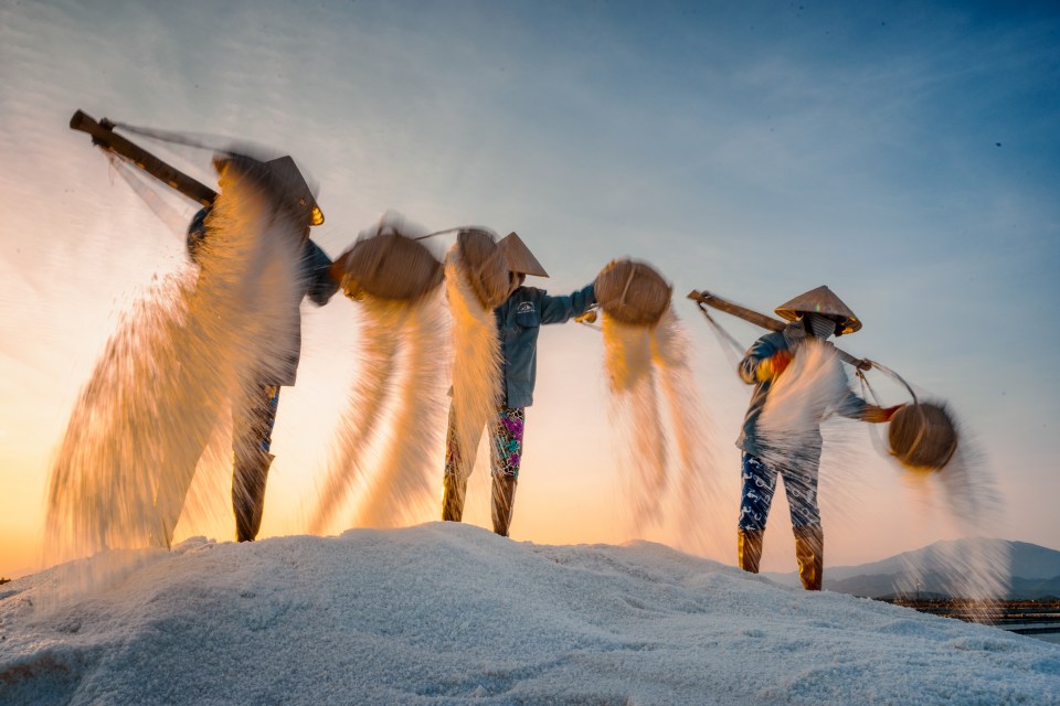  Harvesting salt in Vietnam