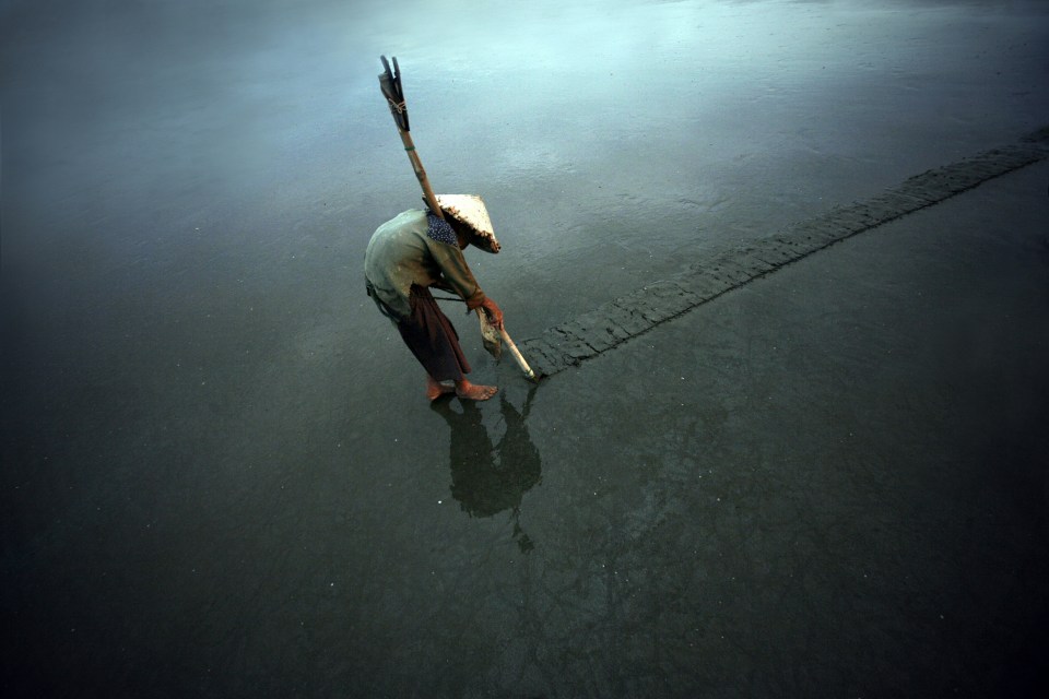  Digging for clams in Vietnam