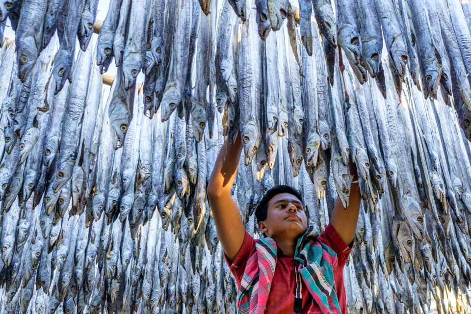  Drying fish in Bangladesh