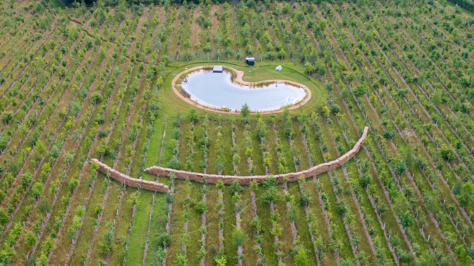  Ed was slammed for constructing a wall of hay bales around his wildlife pond, which neighbours claim is to keep it private if he uses it for swimming