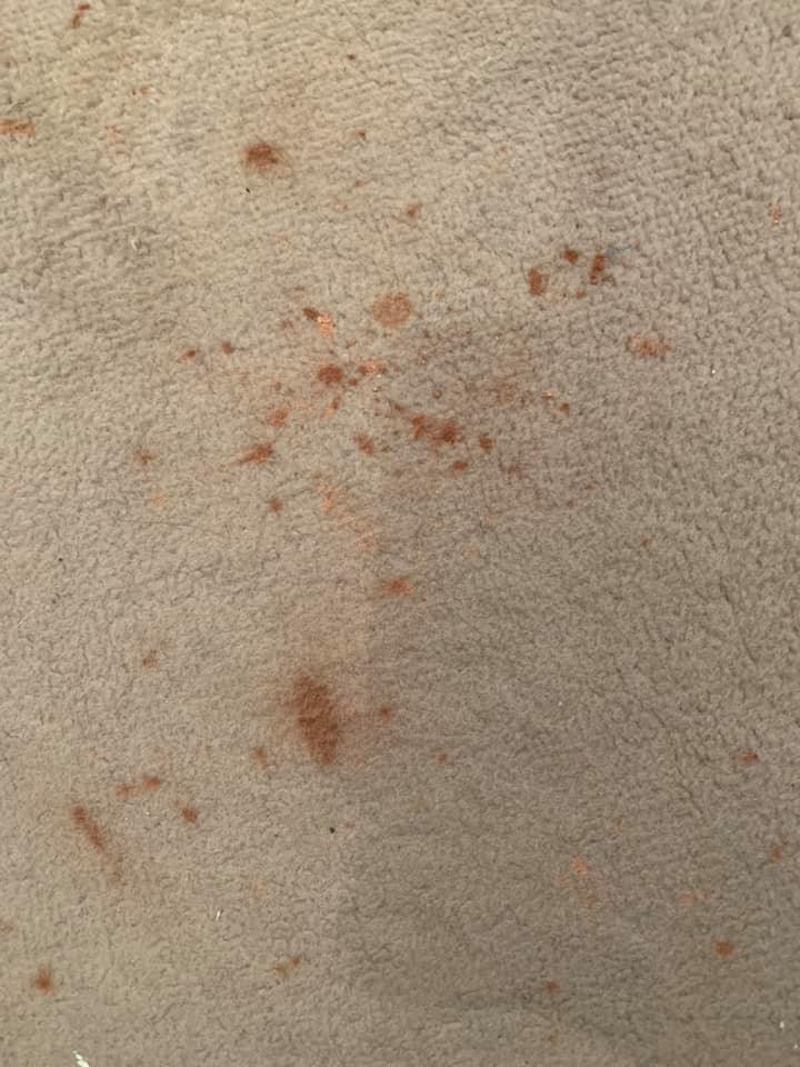  One Facebook poster shared a snap of her carpet stained with make-up