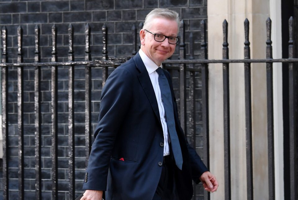  Michael Gove was rewarded with a historic Cabinet job too