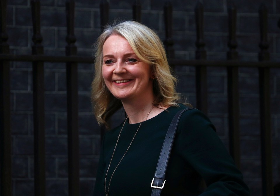  Liz Truss appeared delighted to be made International Trade Secretary