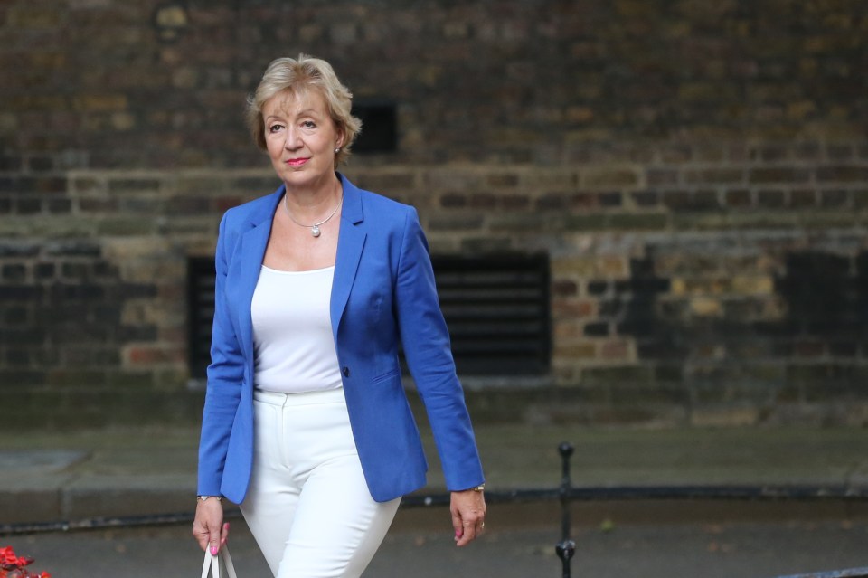  Andrea Leadsom made a Cabinet return as Business Secretary