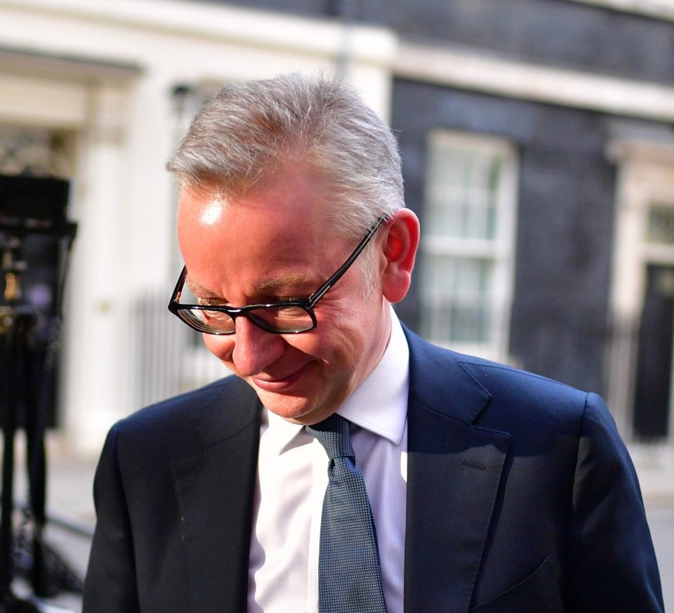  Michael Gove - the last survivor of Cameron’s first Cabinet in 2010 - was promoted to the key Cabinet Office enforcer job of Chancellor of the Duchy of Lancaster