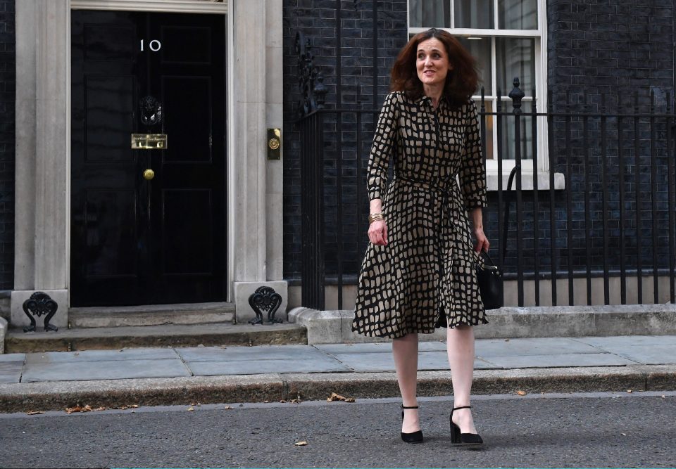  Theresa Villiers leaving Number 10 after being appointed as Environment Secretary