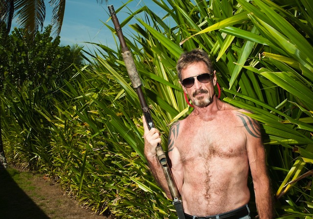 McAfee was born in the UK, but moved to Virginia, US, with his family as a child