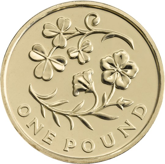  Just over 5.7million of these Irish coins went into circulation