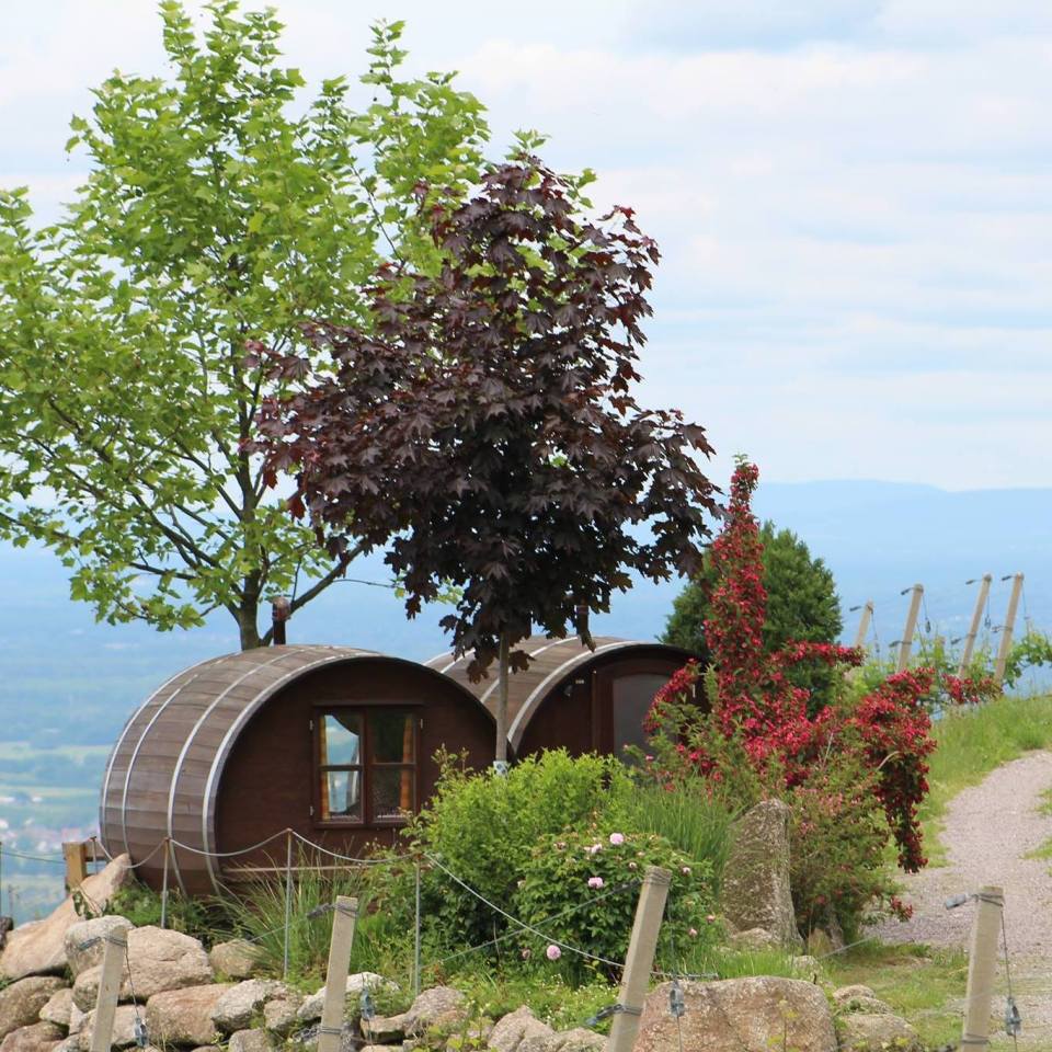  Wine-lovers can now stay in a wine barrel in Germany