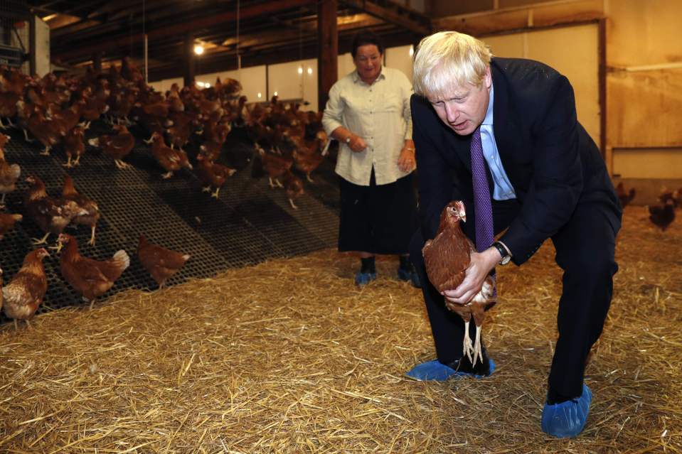  Treading on egg-shells: The PM letting this little fella down easy at Shervington Farm new Newport