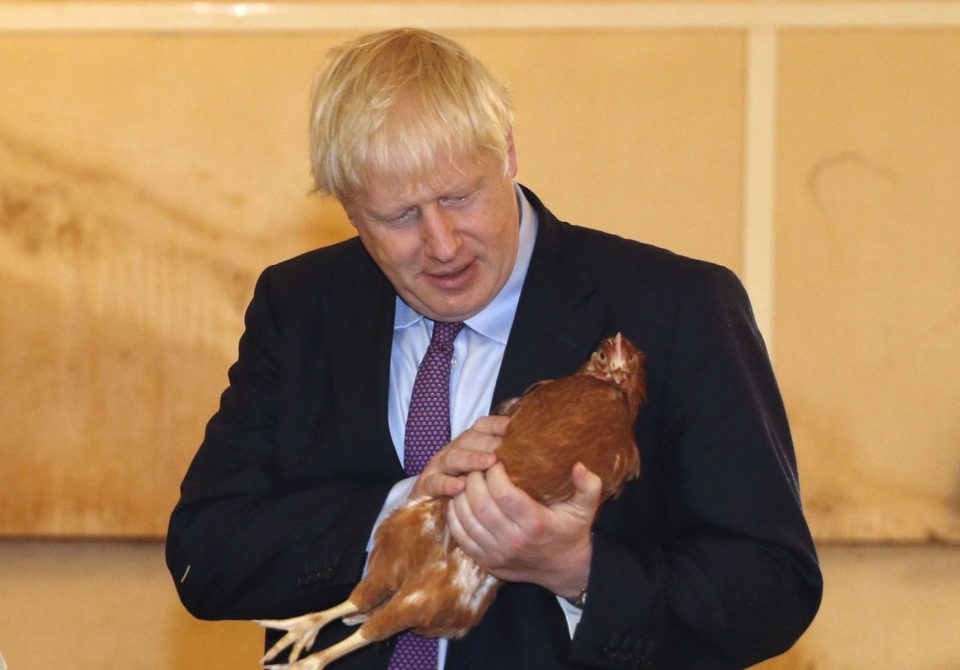  Boris has visited a chicken farm today in Wales where he's promised more help for them if we leave without a deal