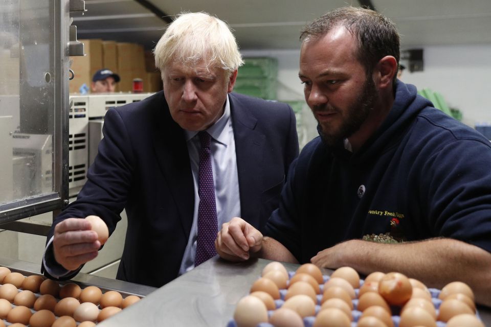  Breggs-it is coming - Boris tours an egg farm