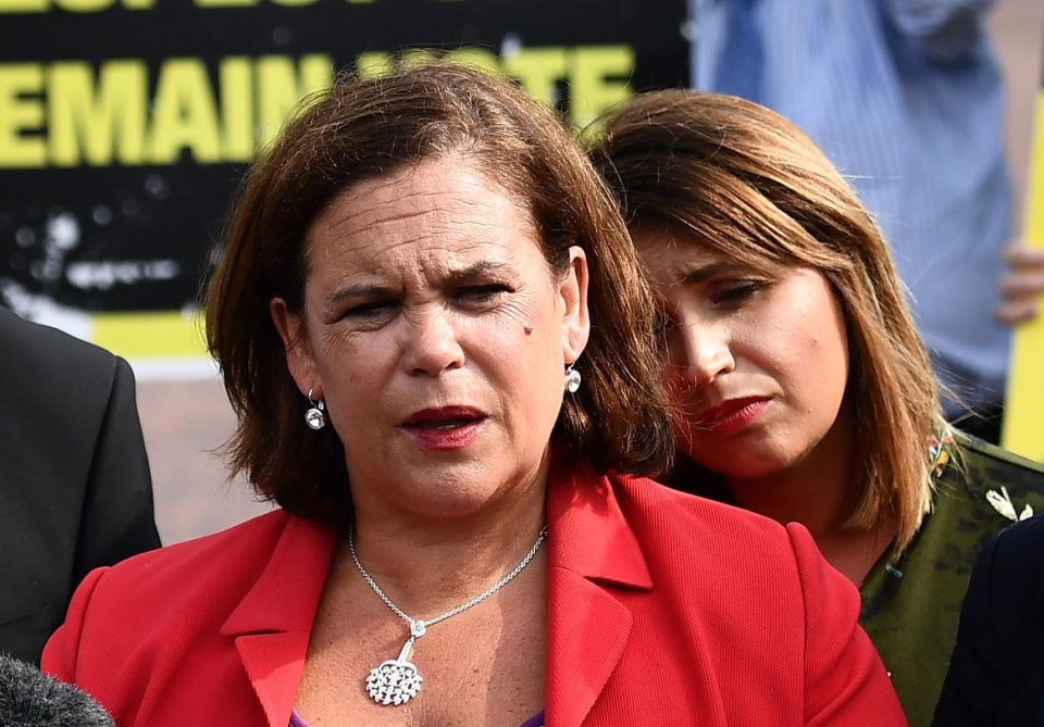  Mary Lou McDonald took a huge swipe at Boris today